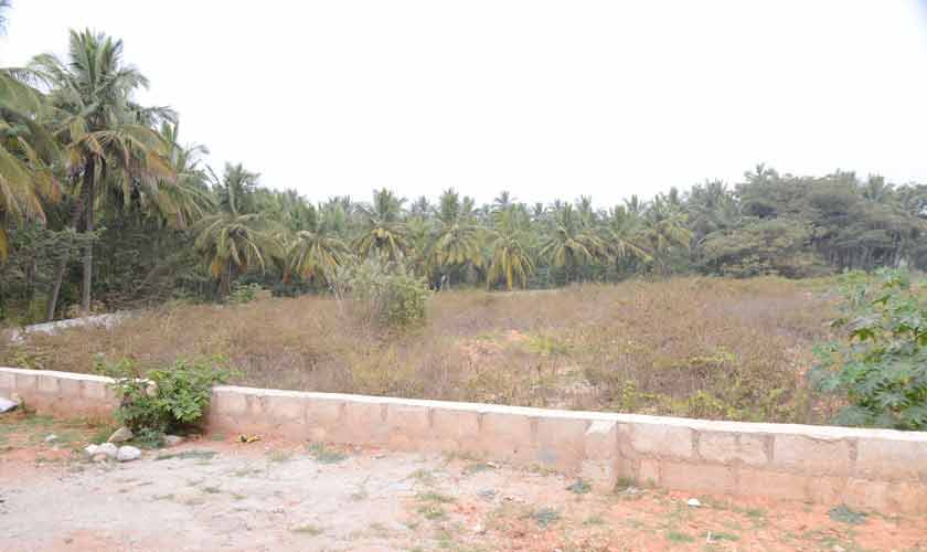 Ring Road 2.5 ACRE old